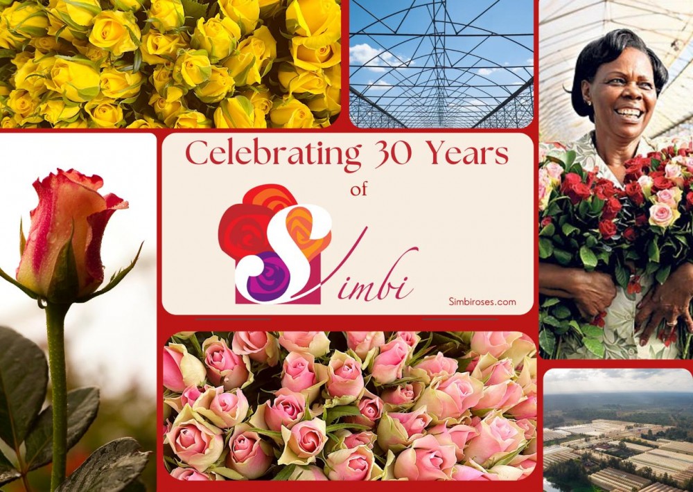 Simbi Roses 30 years