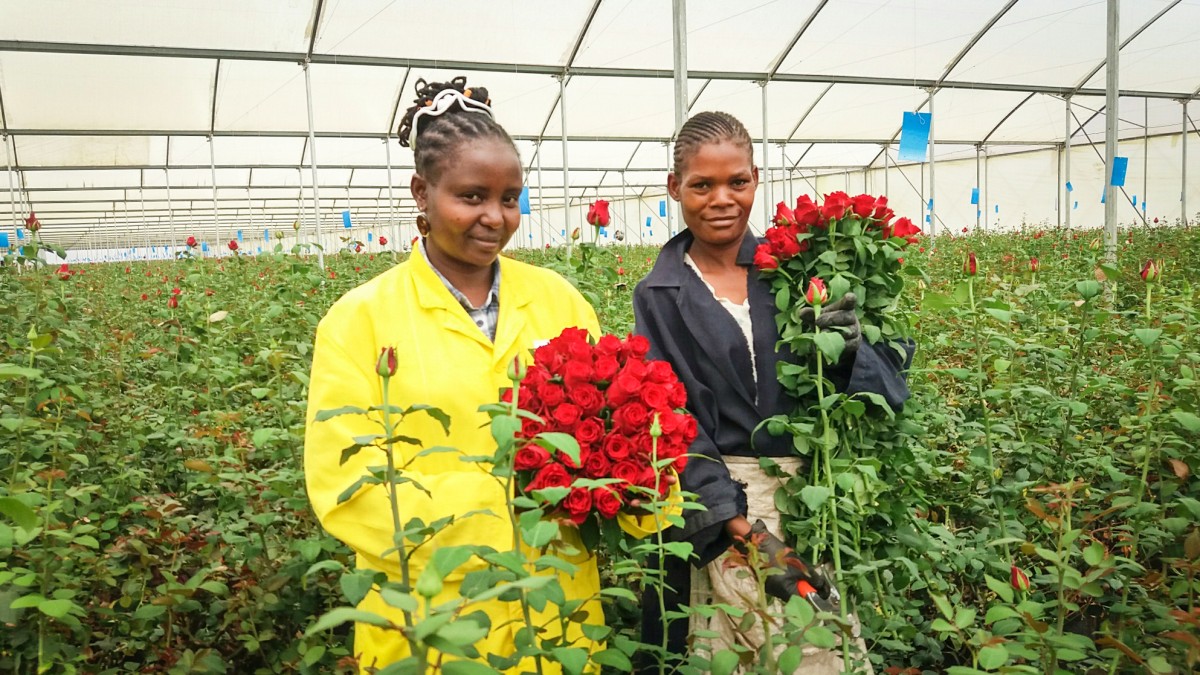 Porini Flowers behaalt Fairtrade certificering